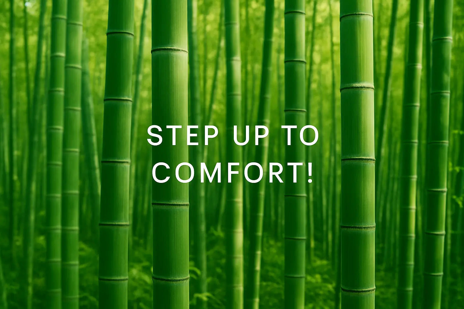 Lush green bamboo forest with white text reading Step Up to Comfort, connecting natural bamboo to sustainable sock comfort